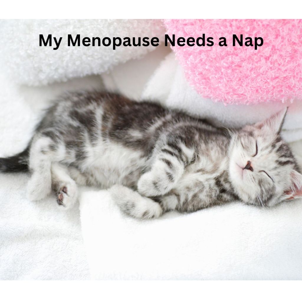 My Menopause Needs a Nap – Sleep and Your Hot&nbsp;Flashes