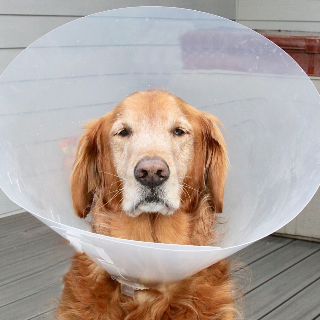 No matter what time of day, no matter what television program I am watching, the TV is shaming me. I am not pretty enough, smell bad “down there”, need help pooping, and my eyes may bulge. If it’s not me, it’s a man’s bent or flaccid penis or your kids’ potential for ADD/ADHD.

When is this going to end? Where is the Marlboro Man? At least he was pretty to look at. Bring on the Marlboro Woman. I bet she has a lot to say right now. 