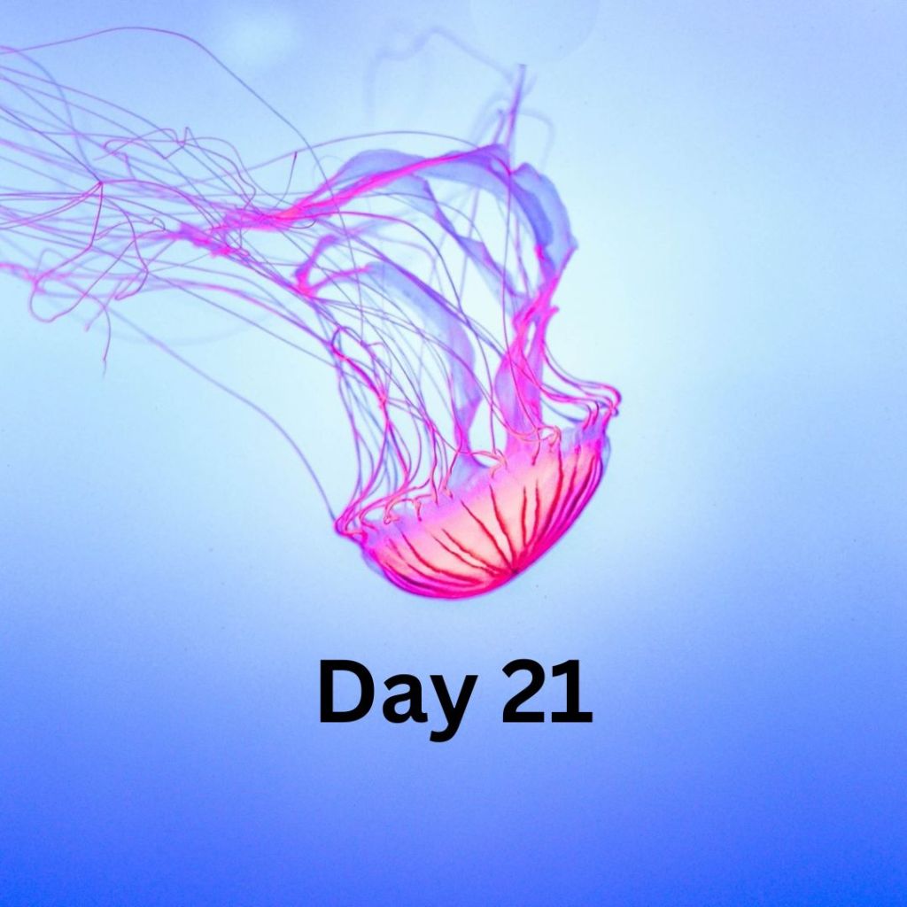 Hot and Healthy – Thriving Through Menopause One Pound at a Time – Day 21&nbsp;(3/2/2024)