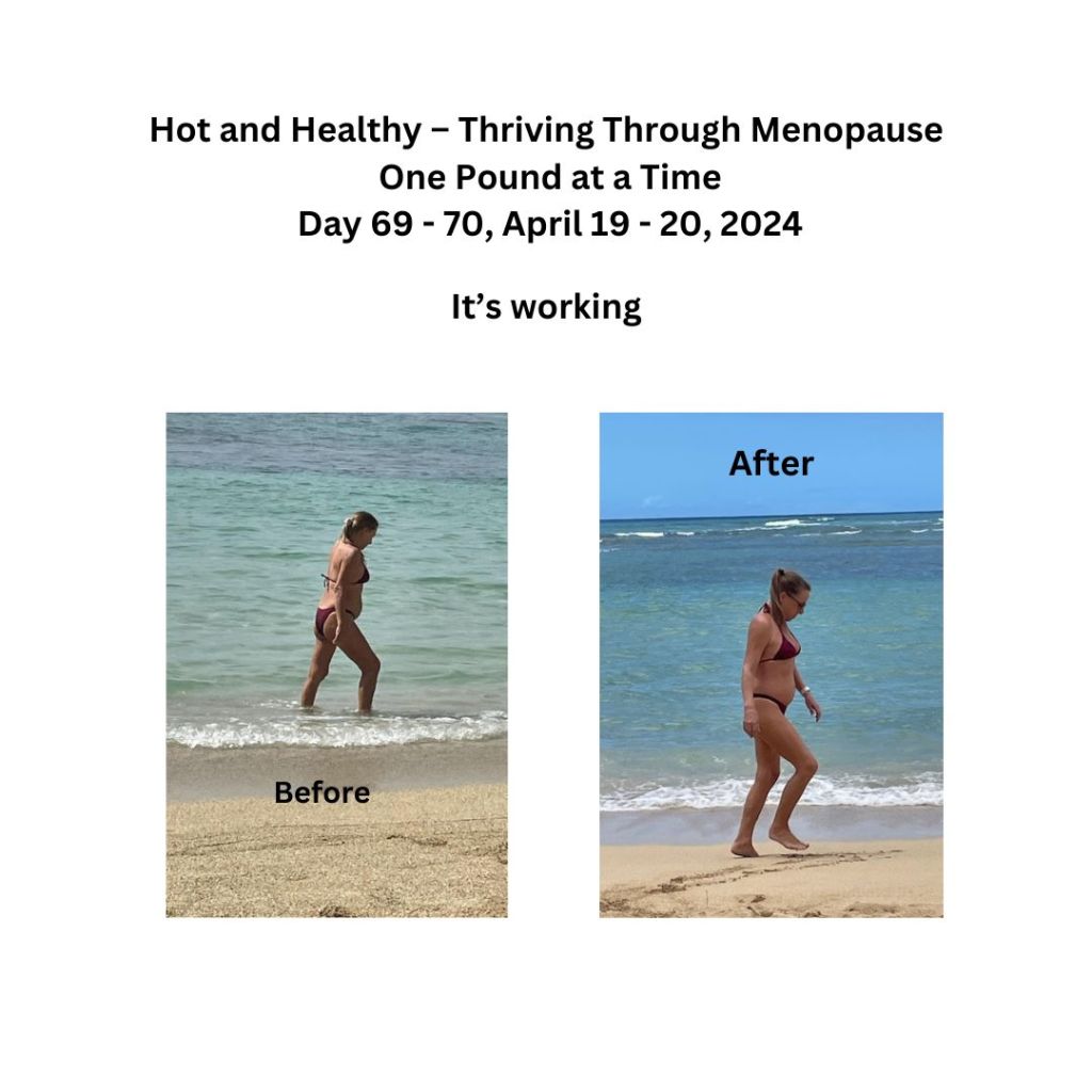 Hot and Healthy – Thriving Through Menopause One Pound at a Time – Day 69 – 70, April 19 – 20,&nbsp;2024